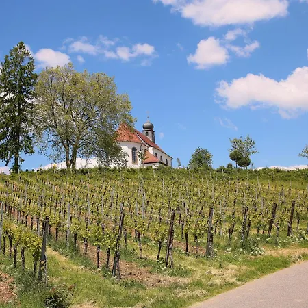 Gaby - Im Weingut Doll Apartment *